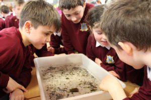 Inland Fisheries - March 2026 (10)