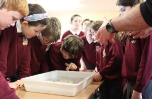 Inland Fisheries - March 2026 (11)