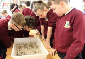 Inland Fisheries - March 2026 (2)