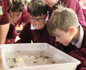 Inland Fisheries - March 2026 (5)