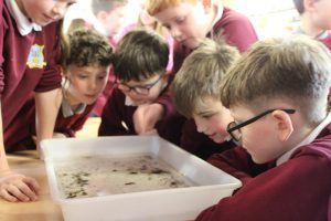 Inland Fisheries - March 2026 (6)