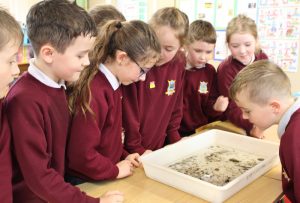 Inland Fisheries - March 2026 (8)