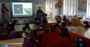 Jonathon & Fionn - Irish Mammals (7)