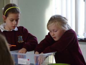 K'nex workshop 2019 (43)