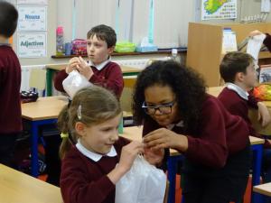 Science Week 2020 (34)