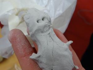 Science Week 2020 (38)