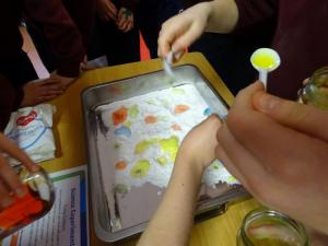 Science week 2018 (94)