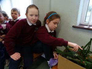 St. Brigid's Crosses 2020 (41)
