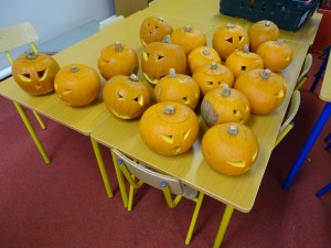 16 pumpkins (6)