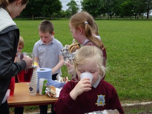 BBQ 2017 DSC00126 (6)
