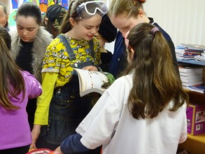 Book day 2017 DSC07155 (7)