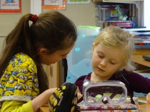 Book day 2017 DSC07211 (7)