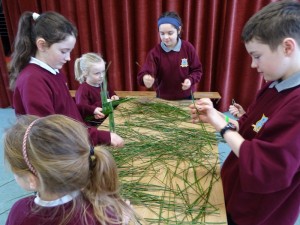 Brigids Day 2018 (15)