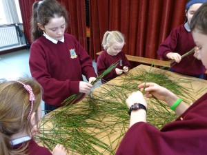 Brigids Day 2018 (16)