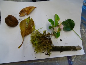 Catherine Simon Drama week 2018 (110)