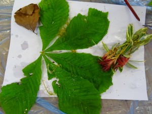 Catherine Simon Drama week 2018 (117)