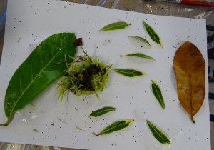 Catherine Simon Drama week 2018 (118)