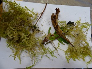 Catherine Simon Drama week 2018 (119)