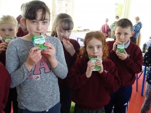 Dairy Farm Visit 2018 (41)