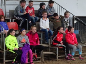 Horse Riding 2017 DSC09837 (19)