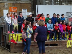 Horse Riding 2017 DSC09837 (20)