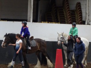 Horse Riding 2017 DSC09837 (21)