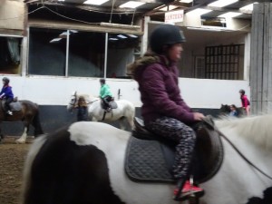 Horse Riding 2017 DSC09837 (24)