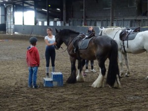 Horse Riding 2017 DSC09837 (32)