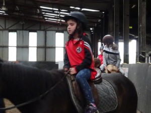 Horse Riding 2017 DSC09837 (49)