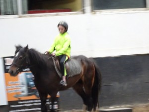 Horse Riding 2017 DSC09837 (55)