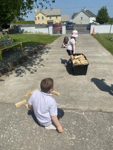 IMG 4724