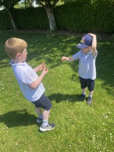 IMG 4726