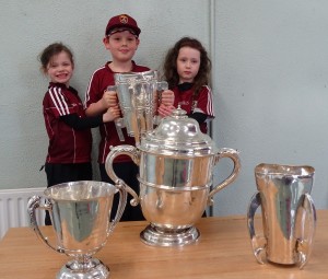 Liam McCarthy Cup 2018 (32)
