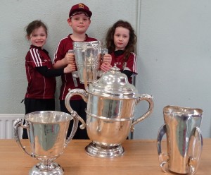Liam McCarthy Cup 2018 (33)