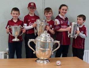 Liam McCarthy Cup 2018 (41)