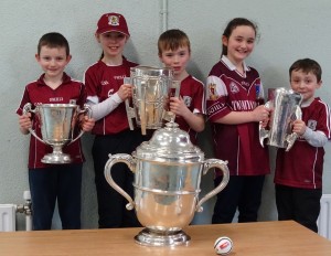 Liam McCarthy Cup 2018 (42)