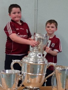 Liam McCarthy Cup 2018 (46)