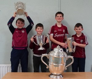 Liam McCarthy Cup 2018 (47)