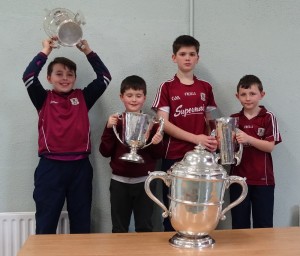 Liam McCarthy Cup 2018 (49)