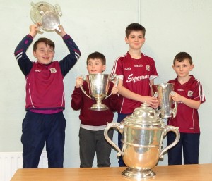 Liam McCarthy Cup 2018 (50)