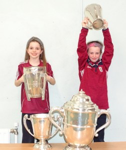 Liam McCarthy Cup 2018 (54)