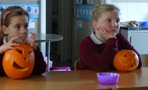 Pumpkins 2017 (32)