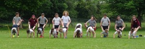 Sports Day 2017 DSC09317 (166)